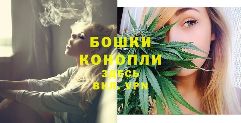 Бошки Шишки Ganja  Луховицы 